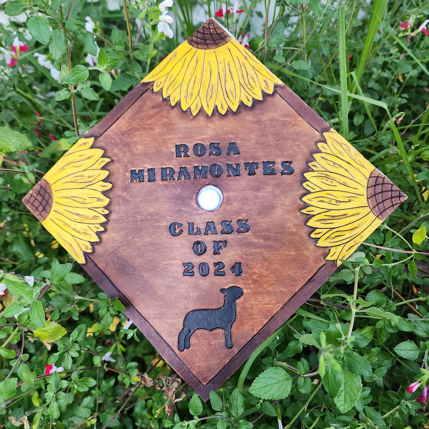 Custom Graduation Cap