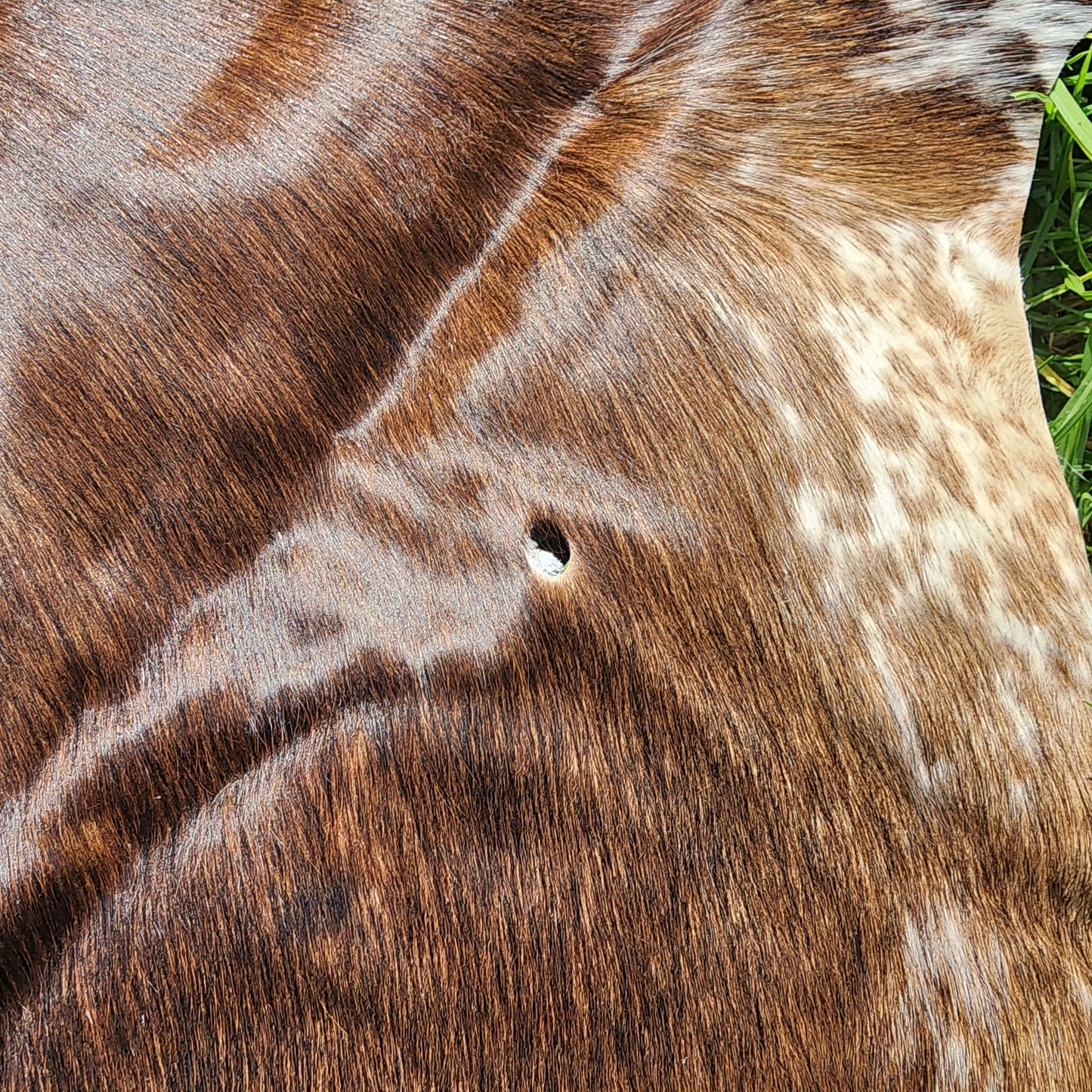 Brown & White Speckled Cowhide